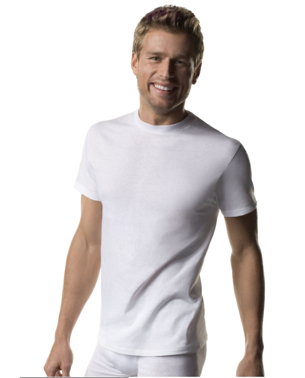 Hanes Mens White Tagless T-Shirts Crewneck 3Pk S-3XL Style 2135  | eBay - Image 3